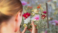 Why Biden’s Age Is An Unavoidable Conversation