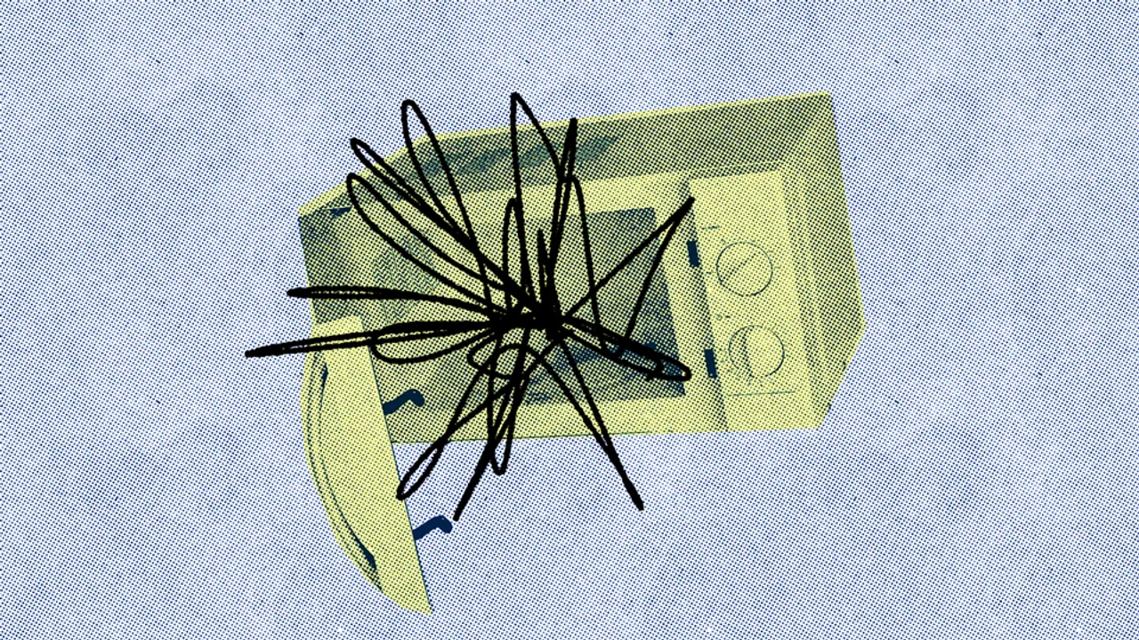 Photos of the Week: Masked Witness, Right Whale, Stormy Gorge